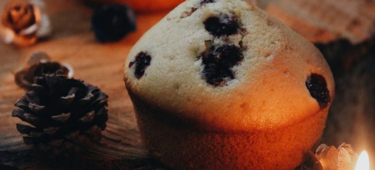 Muffins made with berries and are low carb for weight loss.